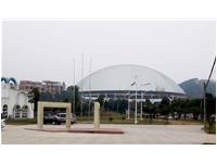 安徽國(guó)軒湯池藝術(shù)宮網(wǎng)架穹頂